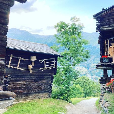 格雷兴Alte Bock 2.0住宿加早餐旅馆 外观 照片