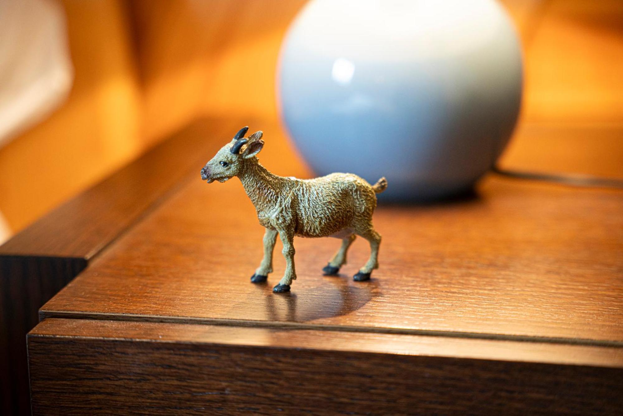 格雷兴Alte Bock 2.0住宿加早餐旅馆 外观 照片